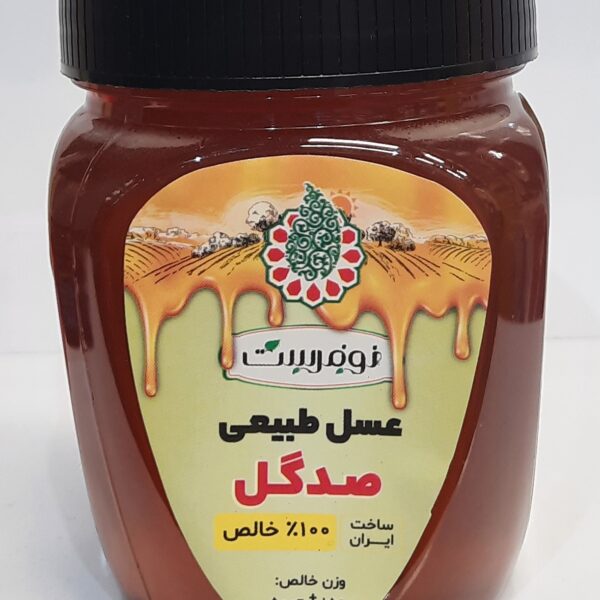 عسل طبیعی صدگل 500 گرمی نوفرست
